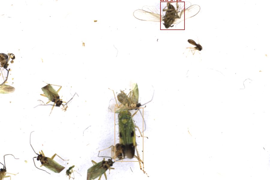 Image 90